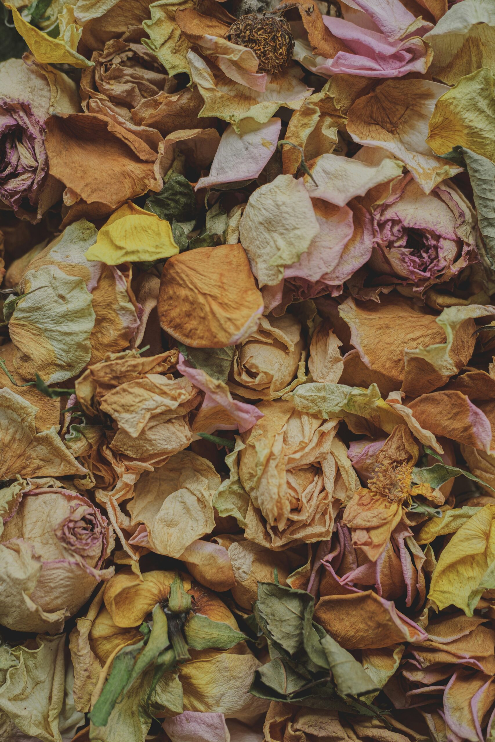 Why Is “This Too Shall Pass” So Comforting?