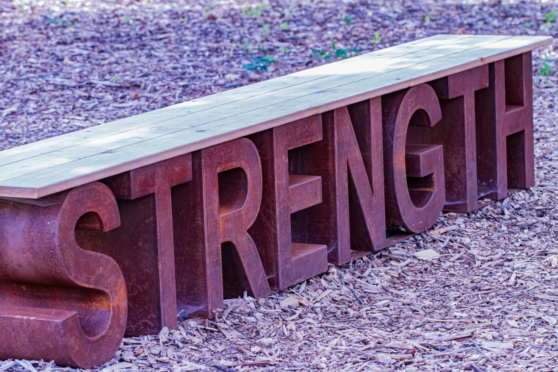 Goku and the Lost Art of Healthy Strength