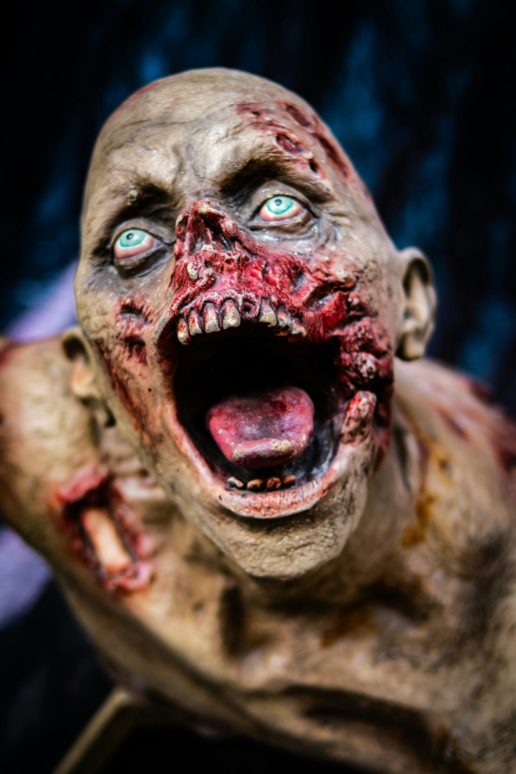 Did Jesus Rise From the Dead?